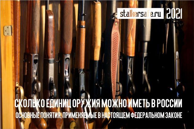 Сколько единиц оружия разрешено иметь в России